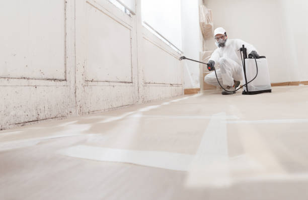 24/7 Emergency Mold Remediation experts in Salem, IL